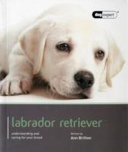 Dog price sales in flipkart