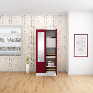 Godrej Interio Slimline 2 Door With Locker and Drawer Metal
