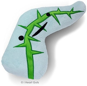 Plush pancreas shop