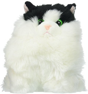 Aurora world fat cats store