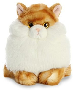 Aurora outlet fat cats