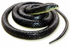 Rock World Toys & Gifts Rubber Snakes Prank Toy (Assorted Colours, 28-inch)