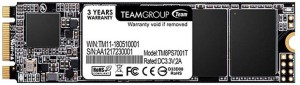 TEAMGROUP Ms30 128 GB Laptop Internal Solid State Drive (TM8PS7128G0C101)