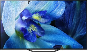 Sony Bravia A8G 139.7cm (55 inch) Ultra HD (4K) OLED Smart TV(KD-55A8G)
