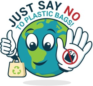 5 Ace say no to plastic bags sticker poster|save environment|NO plastic|save  earth|size:12x18 inch|multicolor : Amazon.in: Home & Kitchen