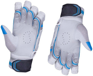 Quinergys V3 Cricket Batting Gloves Batting Gloves Buy