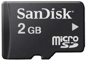 SanDisk microSD 2 GB MicroSD Card Class 2 3 MB/s  Memory Card