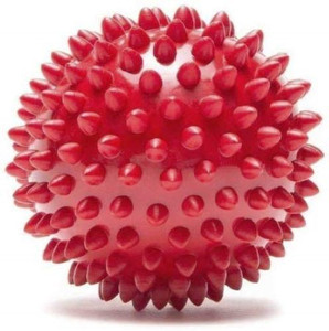dog ball with spikes