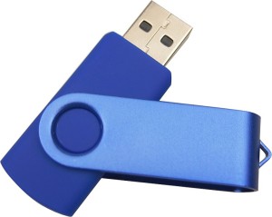 Pankreeti PKT1137 128 GB Pen Drive(Blue)