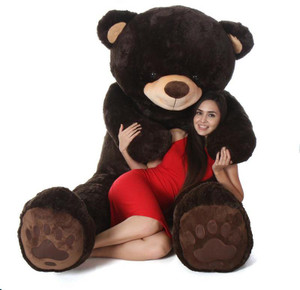 Teddy bear shop price in flipkart