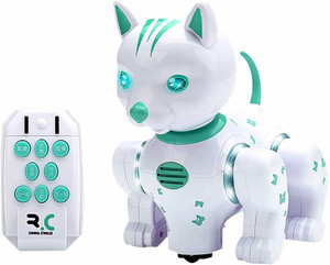Remote 2025 control cat
