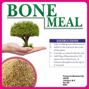 Nourishing Plants Exploring Bone Meal Benefits