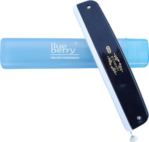 Blueberry harmonica shop