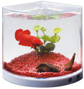 Aquarium accessories flipkart cheap