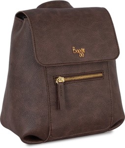 Baggit Womens Backpack  Small Brown  Amazonin Bags Wallets and  Luggage