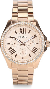 Fossil 2025 watch am4483