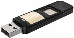RKTech Pd061 Usb3.0 6U Disk Storage Device Flash Drive Pen Drive with Fingerprint Encryption Function Golden 32 GB Pen Drive(Black)