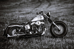 Harley Davidson Vintage Bike 12 x 18 Wall Poster Photographic Paper Abstract Animals Animation Cartoons Architecture Art Paintings Children Comics Cuisine Decorative Educational Floral Botanical Gamin...