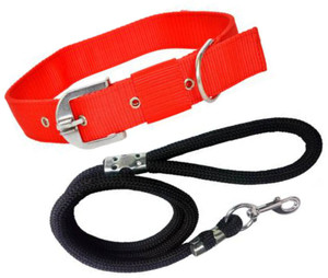 BODY BUILDING Dog Belt Combo of Red Dog Collar with Black Lead 1.5m Lengthy Dog Collar Leash Price in India Buy BODY BUILDING Dog Belt Combo of