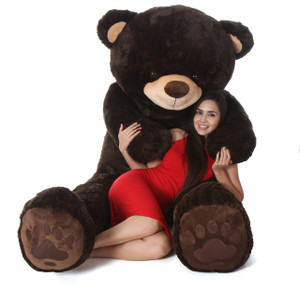 Teddy bear clearance online shopping flipkart