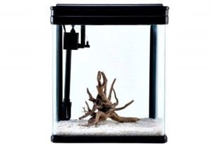 Camry aquarium top