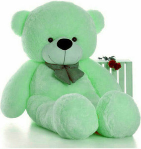 Green top stuffed bear