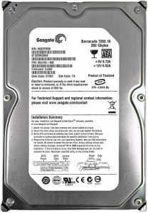 Seagate Refurbished original 250 GB Desktop Internal Hard Disk Drive (hdd500gbp)