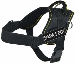 Dean & tyler dog harness discount