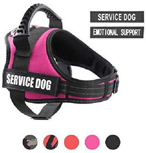 Pawshoppie top