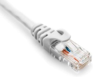 Quantum RJ45 Ethernet Patch/LAN Cable with Gold Plated Connectors Supports Upto 1000Mbps -32Feet (10 Meters),White 10 m LAN Cable(Compatible with Laptops, Computers, White)