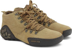 Woodland 1869115 deals