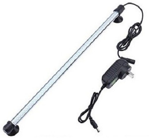 Kapoor Fish Point Fish Aquatic Buy Kapoor Fish Point Fish Aquatic Online At Best Prices In India Flipkart Com Kapoor fish point shop old railway road, ratan garden, opposite st. kapoor fish point fish aquatic buy