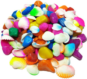 DS Creations Multi color stone, pebble, gravels with Colored Sea shells Gravel Unplanted Substrate