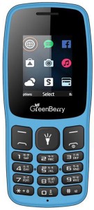 GreenBerry N106(Light Blue)