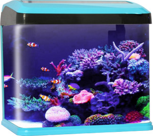 Fish tank price best sale flipkart