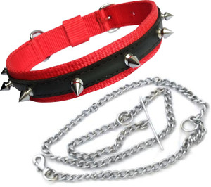 Dog best sale patta price