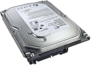 Seagate Internal 500 GB Desktop Internal Hard Disk Drive (SKD52614G)