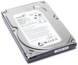 Seagate Internal 250 GB Desktop Internal Hard Disk Drive (SKD45252GH)