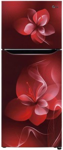 LG 260 L Frost Free Double Door 2 Star (2020) Refrigerator(Scarlet Dazzle, GL-N292DSDY)