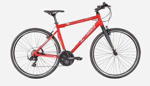 Montra trance pro 2019 price online