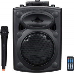 200 watt portable store speaker