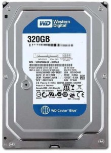 western digital 320GbLaptop 320 GB Laptop Internal Hard Disk Drive (Wd)