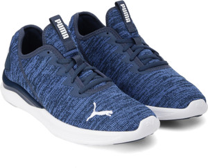 Puma ballast shop
