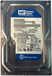 WD Caviar Blue 250 GB 250 GB Desktop Internal Hard Disk Drive (250GB Internal Hard Drive Suitable for Desktop Computers)
