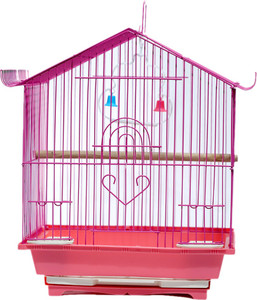 Love birds top with cage price