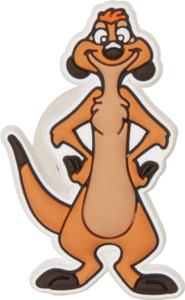Lion king shop croc charms