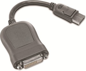 Lenovo 45J7915 0.5 m DVI Cable(Compatible with DisplayPort Male to DVI Male Adapter, Black, One Cable)