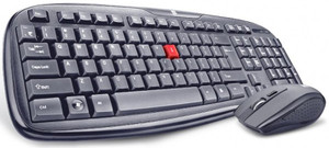 Iball DUSKY DUO-06 & Mouse Combo Wireless Laptop Keyboard
