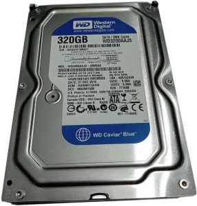 WD BLUE 320 GB Desktop Internal Hard Disk Drive (WD3200AAJS-56MP)