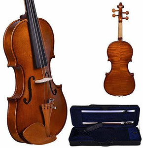 Violin clearance in flipkart